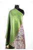 Reversible Green Fall Scarves From India