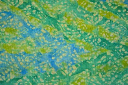 Green Blue Printed Kota Doria Fabric